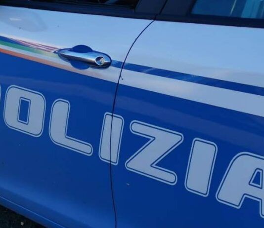 Scoperta una piantagione di papavero da oppio: sequestrate 500 piante già mature