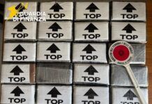 Sorpreso in auto con 22 kg di cocaina – arrestato