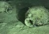 Scoperto al largo della Calabria un relitto del V-IV secolo a.C. con oltre 300 anfore
