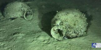 Scoperto al largo della Calabria un relitto del V-IV secolo a.C. con oltre 300 anfore
