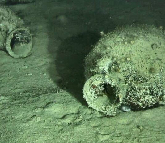 Scoperto al largo della Calabria un relitto del V-IV secolo a.C. con oltre 300 anfore