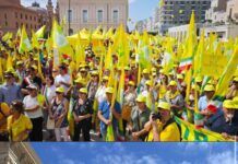 Olio extravergine, Coldiretti Calabria in piazza: “Basta speculazioni e frodi che affossano gli agricoltori”
