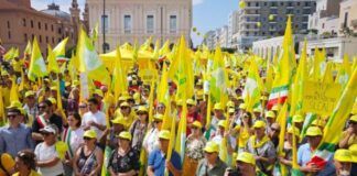 Olio extravergine, Coldiretti Calabria in piazza: “Basta speculazioni e frodi che affossano gli agricoltori”