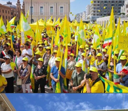 Olio extravergine, Coldiretti Calabria in piazza: “Basta speculazioni e frodi che affossano gli agricoltori”