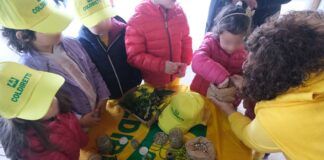 Caldo e centri estivi: cresce in Calabria la domanda di fattorie didattiche e attività nel verde