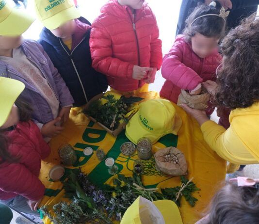 Caldo e centri estivi: cresce in Calabria la domanda di fattorie didattiche e attività nel verde