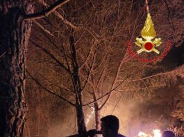 Incendi dolosi in Calabria, Costarella: “Dietro c’è una mente criminale”