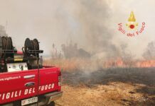 Vasto incendio minaccia abitazioni e ferrovia: treni rallentati, residenti lasciano le case per precauzione