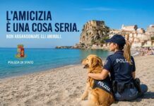 Polizia di Stato: nuovo spot contro l’abbandono degli animali durante il periodo estivo