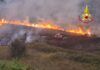 Vibonese in fiamme: circa 30 interventi dei Vigili del Fuoco in un solo giorno, roghi anche vicino alle abitazioni