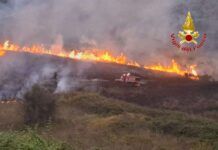 Vibonese in fiamme: circa 30 interventi dei Vigili del Fuoco in un solo giorno, roghi anche vicino alle abitazioni