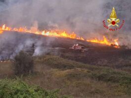 Vibonese in fiamme: circa 30 interventi dei Vigili del Fuoco in un solo giorno, roghi anche vicino alle abitazioni