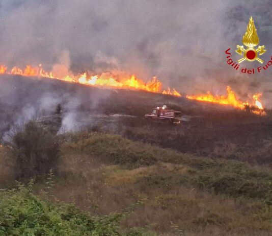 Vibonese in fiamme: circa 30 interventi dei Vigili del Fuoco in un solo giorno, roghi anche vicino alle abitazioni