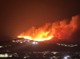 Calabria, vasto incendio minaccia un villaggio turistico: oltre 20 unità dei Vigili del Fuoco impegnate nello spegnimento