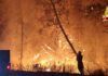 ll Vibonese brucia ancora: decine di roghi e oltre 30 interventi dei Vigili del Fuoco