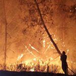ll Vibonese brucia ancora: decine di roghi e oltre 30 interventi dei Vigili del Fuoco