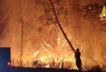 ll Vibonese brucia ancora: decine di roghi e oltre 30 interventi dei Vigili del Fuoco