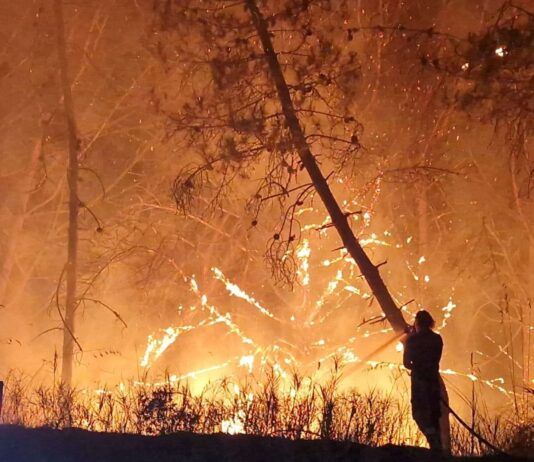 ll Vibonese brucia ancora: decine di roghi e oltre 30 interventi dei Vigili del Fuoco