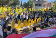 Coldiretti Calabria, cinghiali in Sila: “Bene l’attivazione dei selecontrollori nel Parco. Un primo importante passo nella giusta direzione”