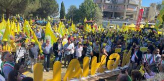 Coldiretti Calabria, cinghiali in Sila: “Bene l’attivazione dei selecontrollori nel Parco. Un primo importante passo nella giusta direzione”