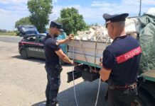 Sequestrato autocarro con 15 quintali di rifiuti edili: denunciato il conducente