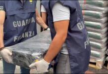 Sequestrati 113 chili di cocaina al porto di Gioia Tauro: droga dal valore di oltre 20 milioni di euro