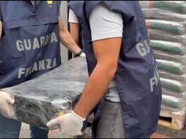 Sequestrati 113 chili di cocaina al porto di Gioia Tauro: droga dal valore di oltre 20 milioni di euro