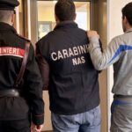 Furto di energia elettrica e frode alimentare: due arresti e un imprenditore denunciato
