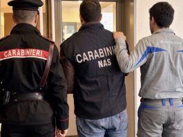 Furto di energia elettrica e frode alimentare: due arresti e un imprenditore denunciato