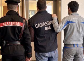Furto di energia elettrica e frode alimentare: due arresti e un imprenditore denunciato