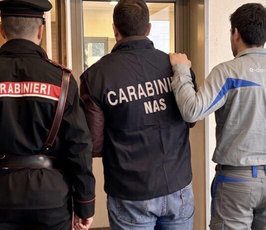 Furto di energia elettrica e frode alimentare: due arresti e un imprenditore denunciato