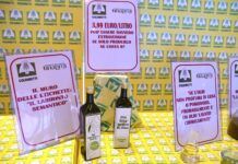Calabria, Coldiretti contro le frodi sull’olio: “Basta miscelazioni che ingannano i consumatori”