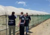 Campo di cipolle abusivo sul demanio: operazione interforze e sequestro