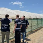 Campo di cipolle abusivo sul demanio: operazione interforze e sequestro