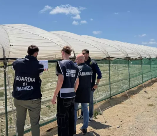 Campo di cipolle abusivo sul demanio: operazione interforze e sequestro