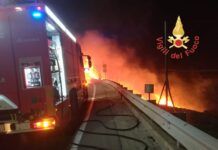 Emergenza incendi, Cgil e Flai: “Servono prevenzione, nuove assunzioni e un tavolo regionale”
