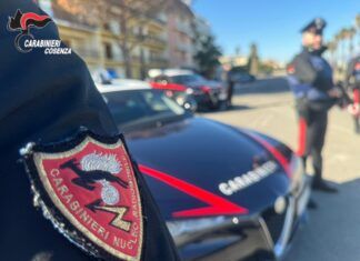 Nascondeva oltre mezzo chilo di hashish in casa: arrestato