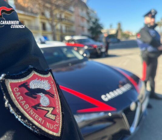Nascondeva oltre mezzo chilo di hashish in casa: arrestato