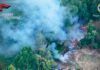 Incendio boschivo, arrestato un 49enne: decisivo il drone della Regione Calabria