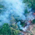 Incendio boschivo, arrestato un 49enne: decisivo il drone della Regione Calabria