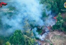 Incendio boschivo, arrestato un 49enne: decisivo il drone della Regione Calabria