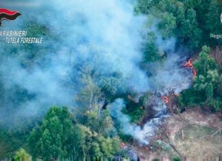 Incendio boschivo, arrestato un 49enne: decisivo il drone della Regione Calabria