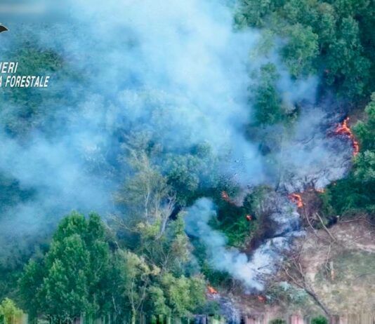 Incendio boschivo, arrestato un 49enne: decisivo il drone della Regione Calabria