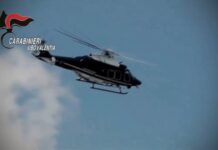 Controlli dei Carabinieri: un arresto, denunce e una piantagione di cannabis scoperta
