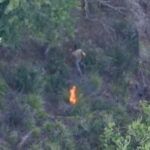 Incendio boschivo, arrestato un allevatore cinquantenne: incastrato dalle immagini del drone