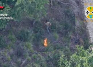 Incendio boschivo, arrestato un allevatore cinquantenne: incastrato dalle immagini del drone