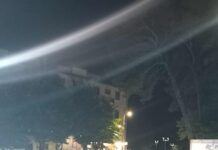 Grande successo a Cittanova per “La Corrida” firmata Avis