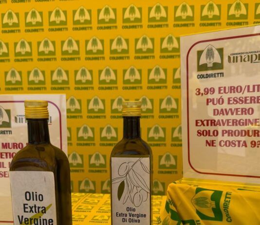Olio extravergine, Coldiretti: «Subito un bando per gli indigenti e controlli hi-tech contro le frodi»