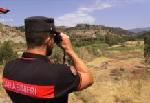 Prevenzione incendi, dieci sanzioni e controlli rafforzati dei Carabinieri