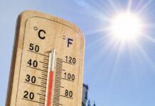 Caldo record, il Comune di Reggio apre quattro oasi climatizzate per aiutare i cittadini più fragili
